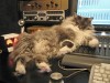 Nimbus assists with a mix at The Eye Socket