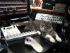 The Eye Socket's newest staff member, Nimbus MacLeod